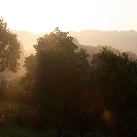 Eifel Rebeige Gerolstein Apartman Kopp Kültér fotó