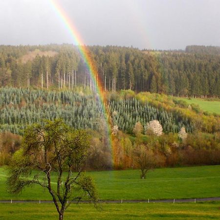 Eifel Rebeige Gerolstein Apartman Kopp Kültér fotó